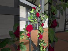 20ft Baldachin Klapphaus